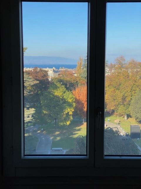 Geneve, Plein Centre,Belle Vue Lac, Splendide Et Grand Appartement エクステリア 写真